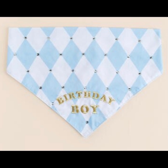Francesca’s Collections Birthday Boy Bandana - Picture 7 of 8
